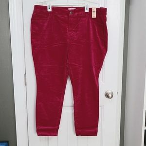 Loft Velvet Skinny Pants NWT